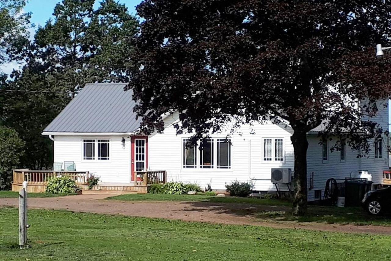 Golfers Haven 4 Bd 20 Min Chtown Central Pei Villa Rice Point Exteriör bild