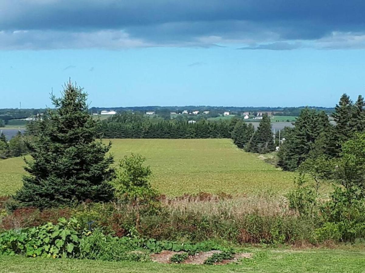 Golfers Haven 4 Bd 20 Min Chtown Central Pei Villa Rice Point Exteriör bild